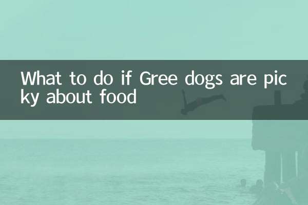 O que fazer se os cães gream forem exigentes com comida
