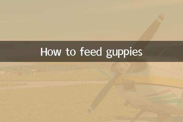 Como alimentar Guppies