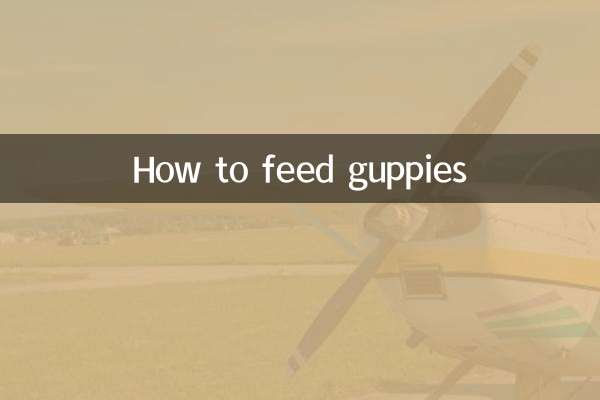 How to feed guppies