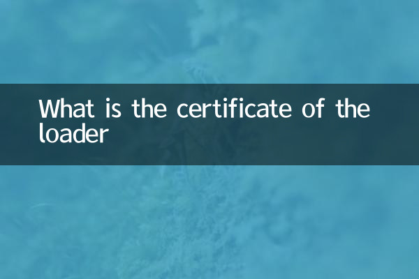 ¿Cuál es el certificado del cargador?