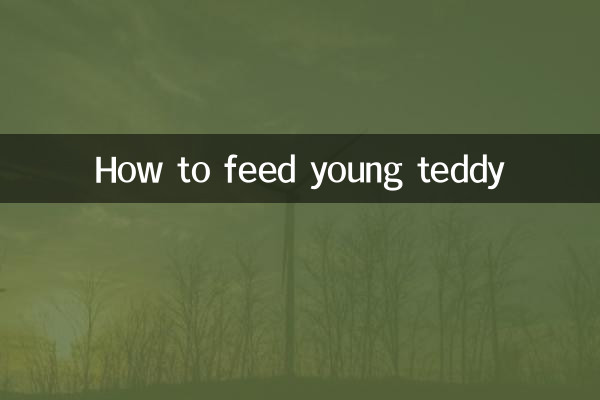 How to feed young teddy