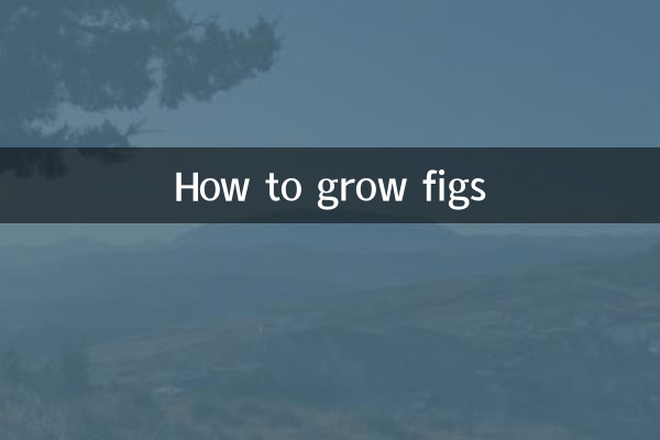 How to grow figs