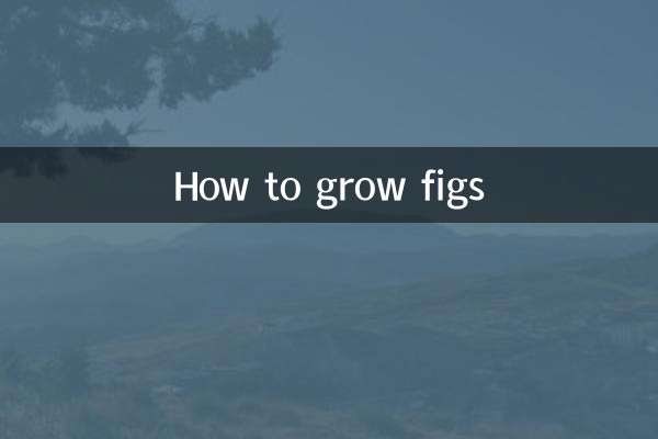 How to grow figs