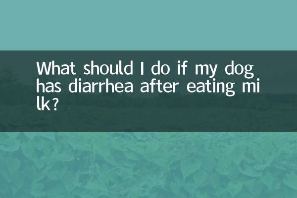 O que fazer se seu cachorro tiver diarreia depois de comer leite