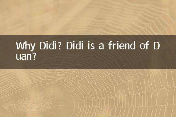 ¿Por qué Didi? ¿Didi es amiga de Duan?