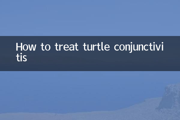 Cómo tratar la conjuntivitis de las tortugas