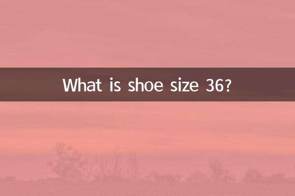 What is shoe size 36?