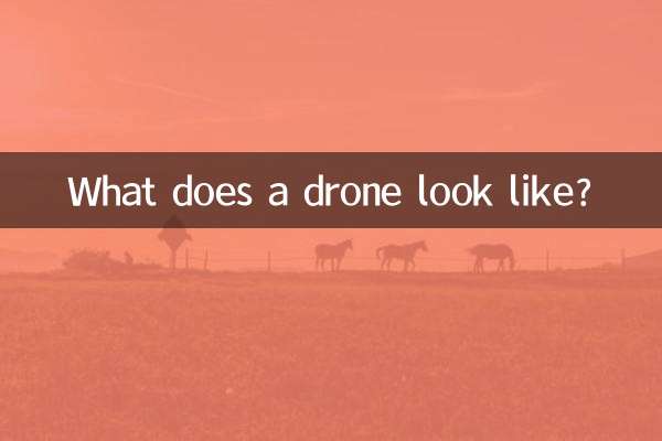 What does a drone look like?