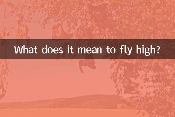 উঁচুতে উড়ার মানে কি?