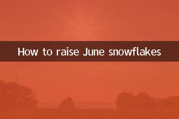 How to raise June snowflakes
