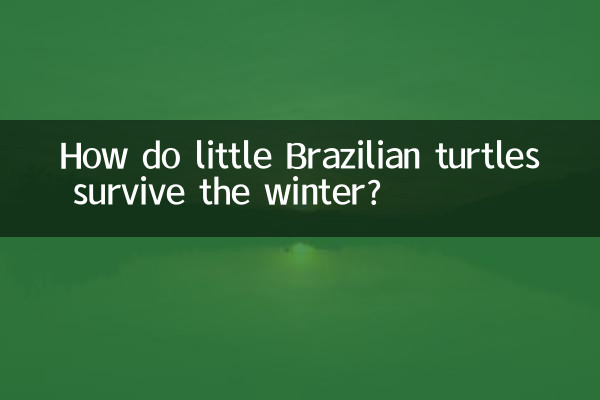 How do little Brazilian turtles survive the winter?