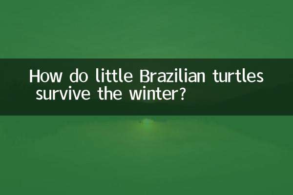 ¿Cómo sobreviven el invierno las pequeñas tortugas brasileñas?