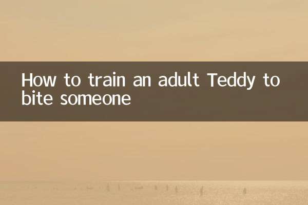 How to train an adult Teddy to bite someone