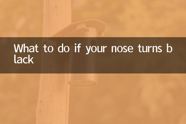鼻が黒くなったらどうするか