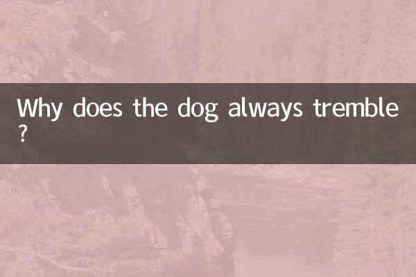 Perché il cane trema sempre?