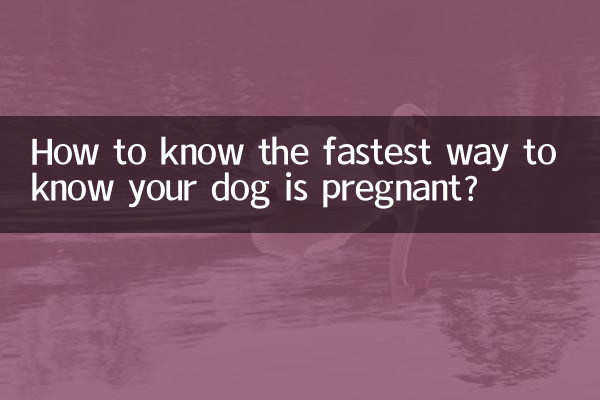 यह जानने का सबसे तेज़ तरीका कि आपका कुत्ता गर्भवती है?