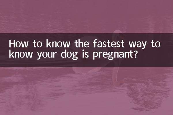 यह जानने का सबसे तेज़ तरीका कि आपका कुत्ता गर्भवती है?