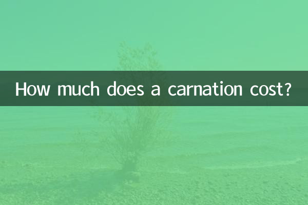 カーネーションの値段はいくらですか?