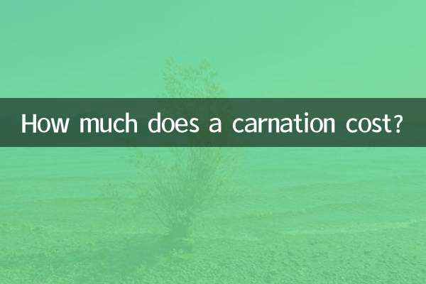 Quanto costa un garofano?