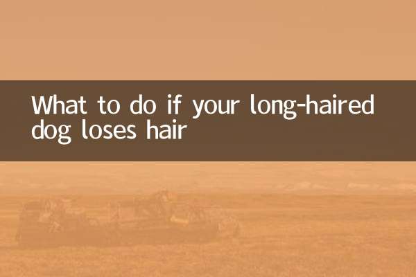 Cosa fare se il tuo cane a pelo lungo perde pelo