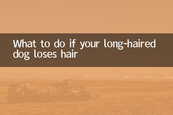 Cosa fare se il tuo cane a pelo lungo perde pelo