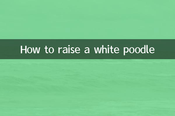 सफ़ेद पूडल कैसे पालें