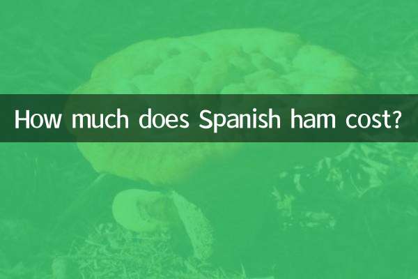 Quanto costa il prosciutto spagnolo?