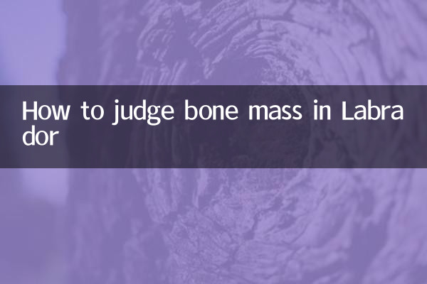 ラブラドールの骨量を判断する方法