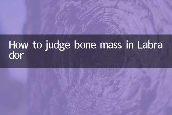 Como avaliar a massa óssea em Labrador