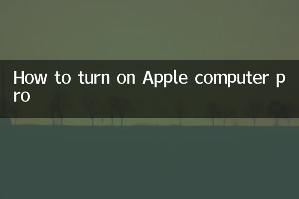 Cómo encender Apple Computer Pro