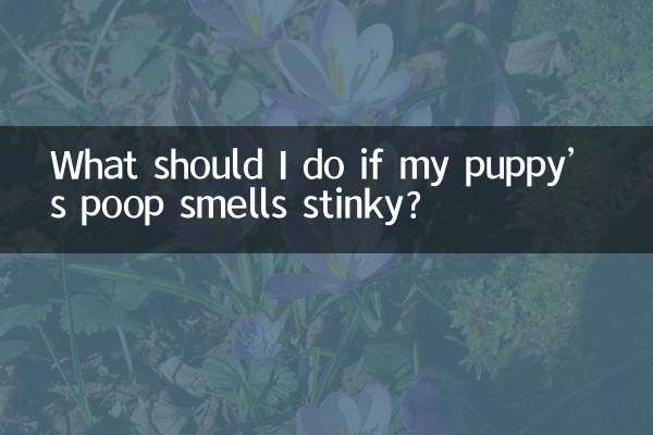 यदि मेरे पिल्ले के मल से बदबू आती है तो मुझे क्या करना चाहिए?