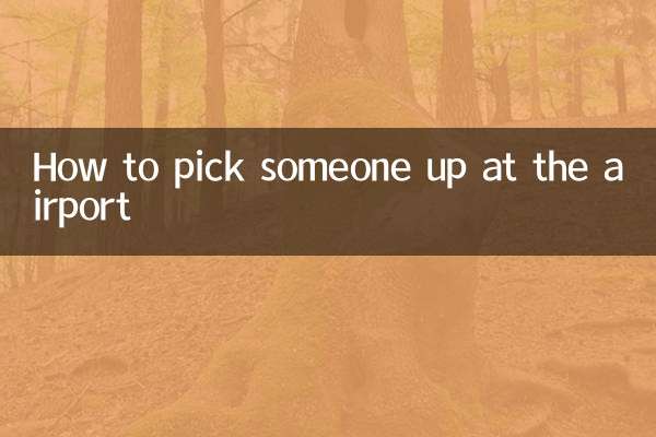 How to pick someone up at the airport