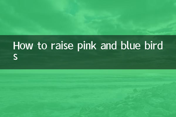 Come allevare uccelli rosa e blu