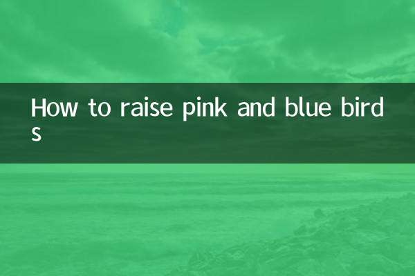 Come allevare uccelli rosa e blu