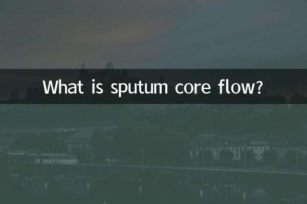 What is sputum core flow?