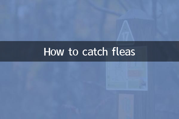 How to catch fleas