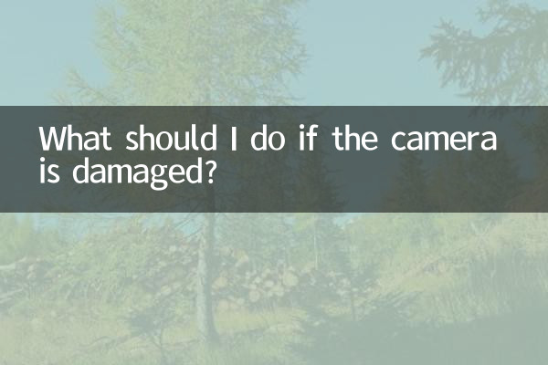 ক্যামেরা ক্ষতিগ্রস্ত হলে আমার কী করা উচিত?