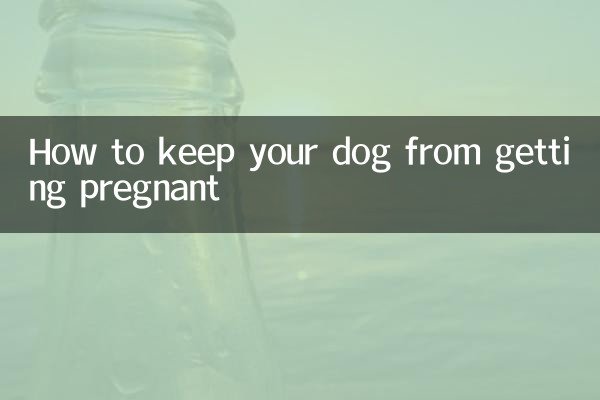 How to keep your dog from getting pregnant