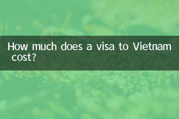How much does a visa to Vietnam cost?
