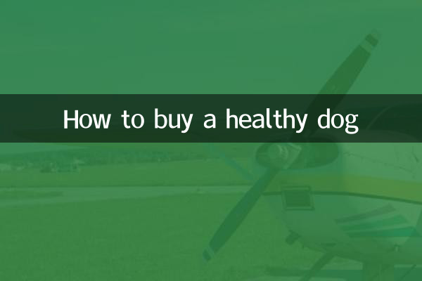 How to buy a healthy dog