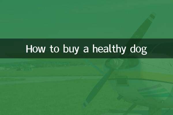 How to buy a healthy dog