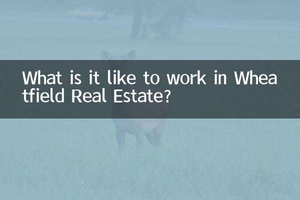 What is it like to work in Wheatfield Real Estate?