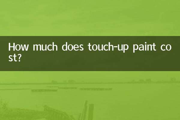 How much does touch-up paint cost?