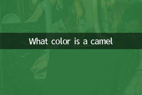 ما هو لون الجمل