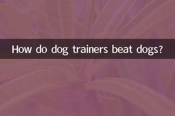 مربیان سگ چگونه سگ ها را کتک می زنند؟