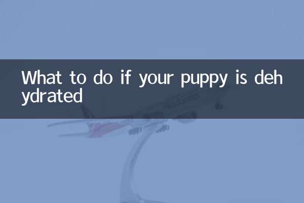 Que faire si votre chiot est déshydraté