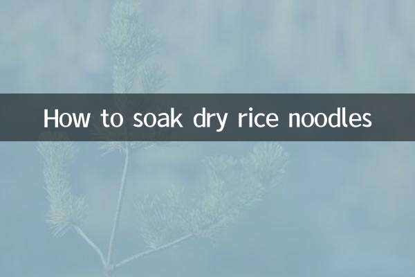 마른 쌀국수를 담그는 방법