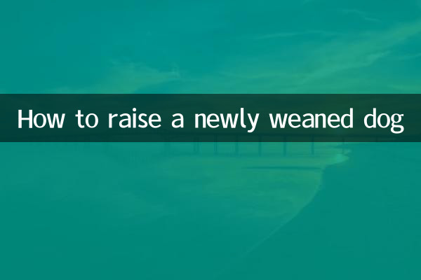 How to raise a newly weaned dog