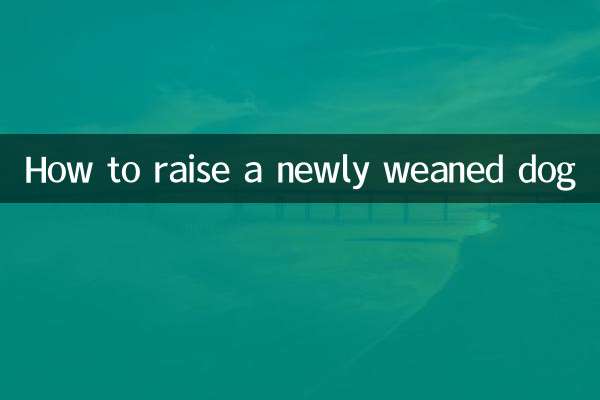 How to raise a newly weaned dog