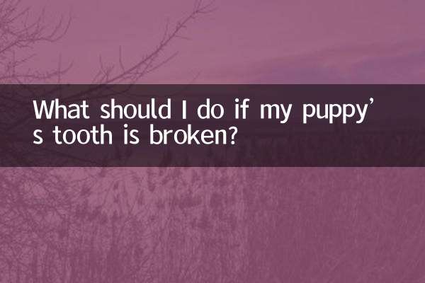 Que dois-je faire si la dent de mon chiot est cassée ?